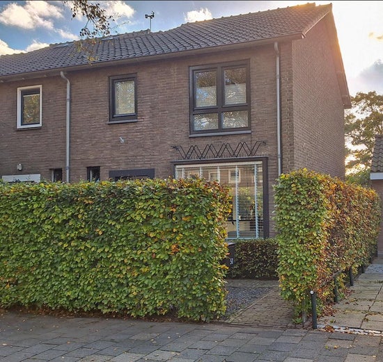 Wilhelminalaan