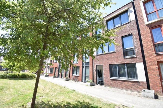 Rotterdamhaven