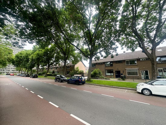 Ds. Martin Luther Kingweg