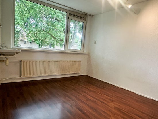 Ds. Martin Luther Kingweg