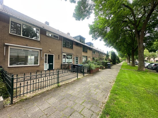Ds. Martin Luther Kingweg