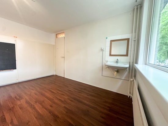 Ds. Martin Luther Kingweg