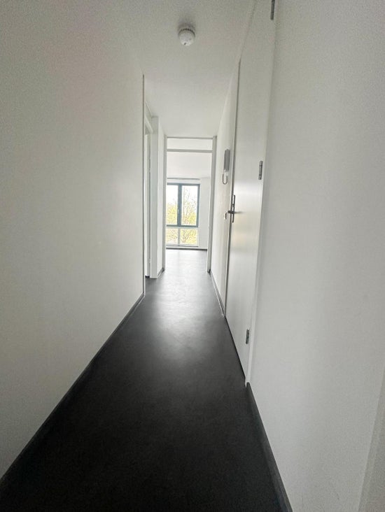 Singelbuurt