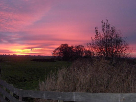 Overleek